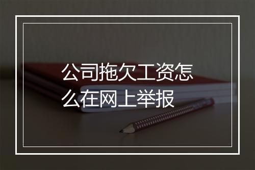 公司拖欠工资怎么在网上举报