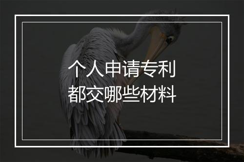 个人申请专利都交哪些材料
