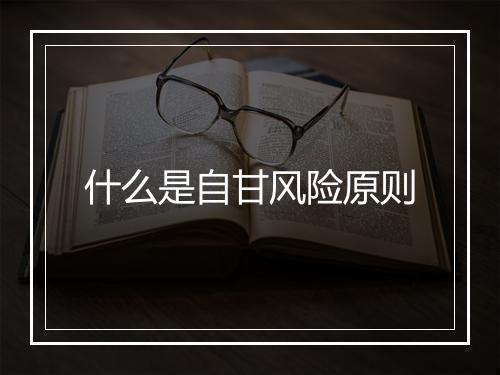 什么是自甘风险原则