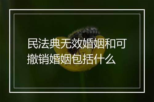 民法典无效婚姻和可撤销婚姻包括什么