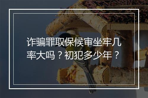 诈骗罪取保候审坐牢几率大吗？初犯多少年？
