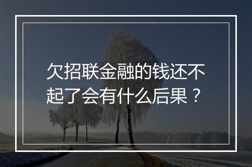 欠招联金融的钱还不起了会有什么后果？
