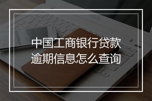中国工商银行贷款逾期信息怎么查询