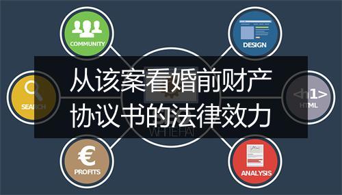 从该案看婚前财产协议书的法律效力