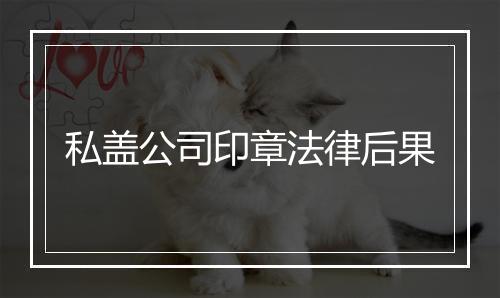 私盖公司印章法律后果