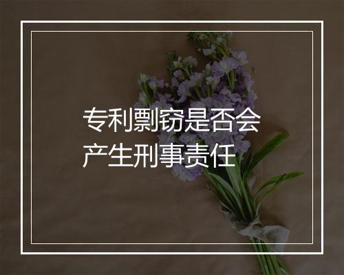 专利剽窃是否会产生刑事责任
