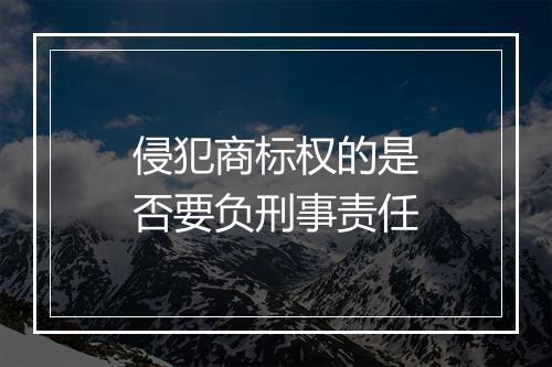 侵犯商标权的是否要负刑事责任