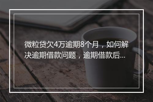 微粒贷欠4万逾期8个月，如何解决逾期借款问题，逾期借款后果及处理
