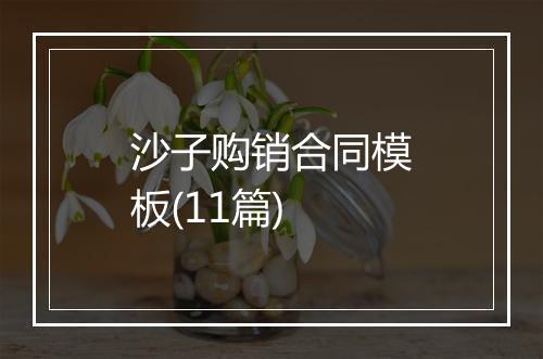 沙子购销合同模板(11篇)