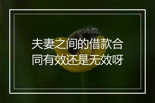 夫妻之间的借款合同有效还是无效呀
