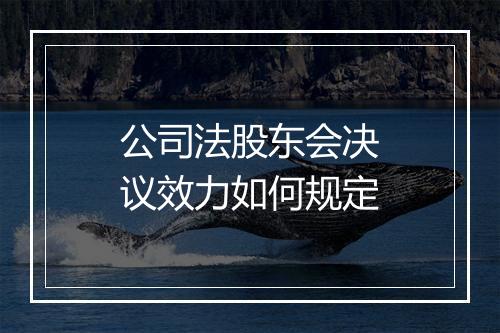 公司法股东会决议效力如何规定