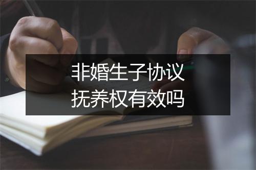 非婚生子协议抚养权有效吗