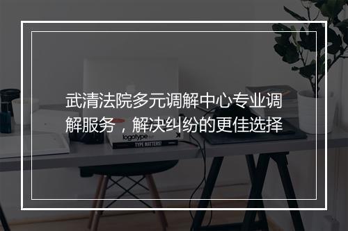 武清法院多元调解中心专业调解服务，解决纠纷的更佳选择