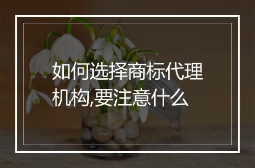 如何选择商标代理机构,要注意什么