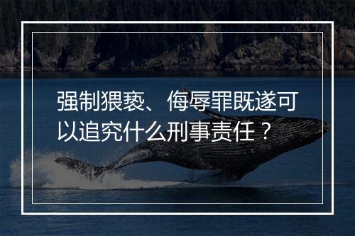 强制猥亵、侮辱罪既遂可以追究什么刑事责任？