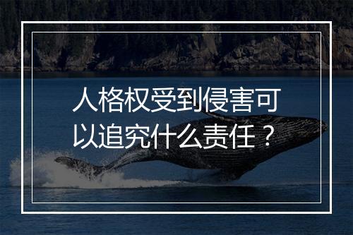 人格权受到侵害可以追究什么责任？