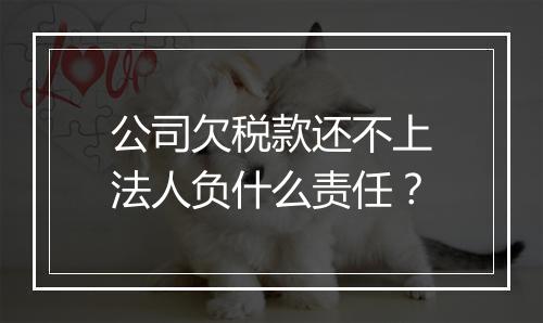 公司欠税款还不上法人负什么责任？