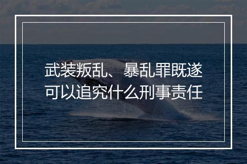武装叛乱、暴乱罪既遂可以追究什么刑事责任