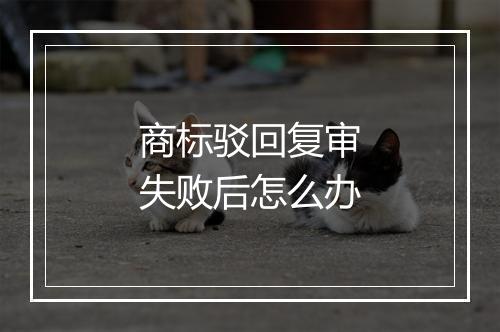 商标驳回复审失败后怎么办