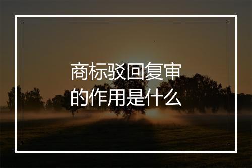 商标驳回复审的作用是什么