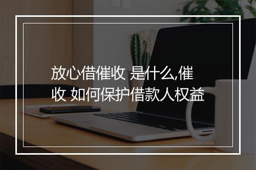 放心借催收 是什么,催收 如何保护借款人权益