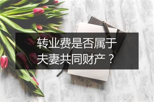 转业费是否属于夫妻共同财产？