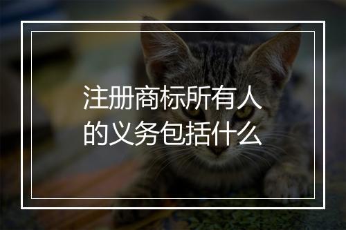 注册商标所有人的义务包括什么