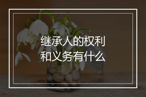 继承人的权利和义务有什么
