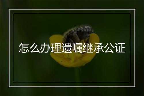 怎么办理遗嘱继承公证