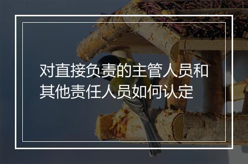 对直接负责的主管人员和其他责任人员如何认定