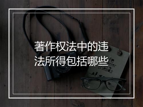 著作权法中的违法所得包括哪些