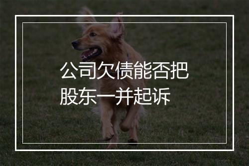 公司欠债能否把股东一并起诉
