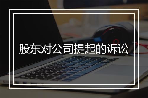 股东对公司提起的诉讼