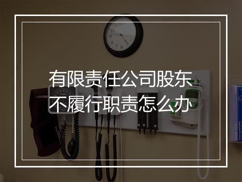 有限责任公司股东不履行职责怎么办
