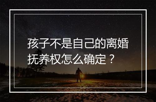 孩子不是自己的离婚抚养权怎么确定？