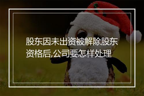 股东因未出资被解除股东资格后,公司要怎样处理