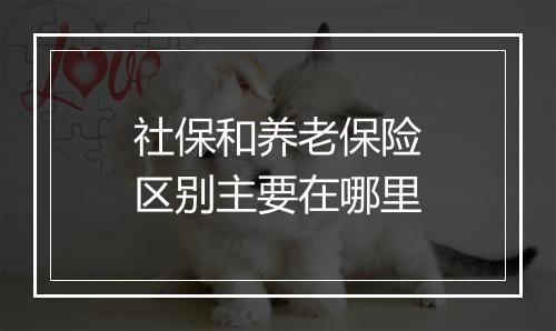 社保和养老保险区别主要在哪里