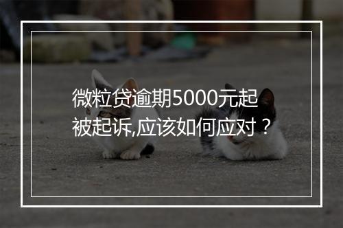 微粒贷逾期5000元起被起诉,应该如何应对？