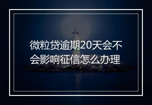 微粒贷逾期20天会不会影响征信怎么办理