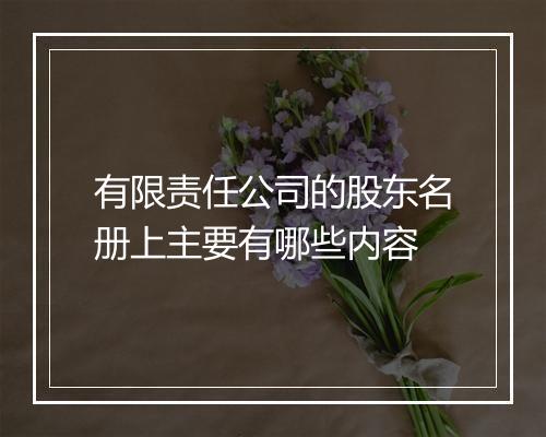 有限责任公司的股东名册上主要有哪些内容
