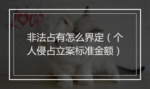 非法占有怎么界定（个人侵占立案标准金额）