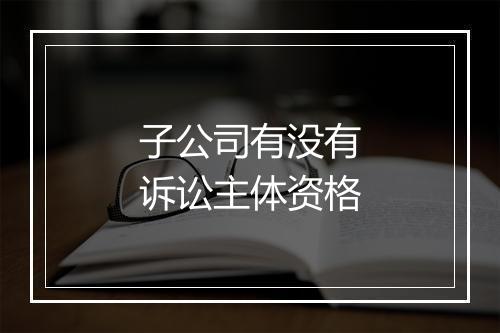 子公司有没有诉讼主体资格