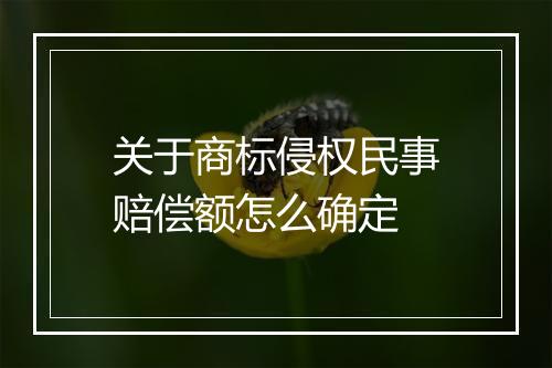 关于商标侵权民事赔偿额怎么确定