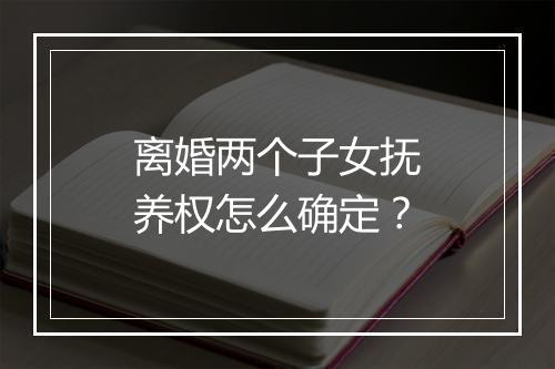 离婚两个子女抚养权怎么确定？