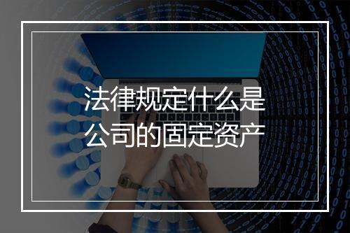 法律规定什么是公司的固定资产