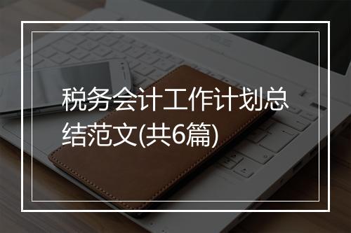 税务会计工作计划总结范文(共6篇)