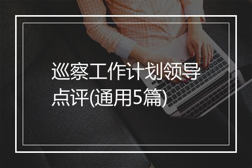 巡察工作计划领导点评(通用5篇)