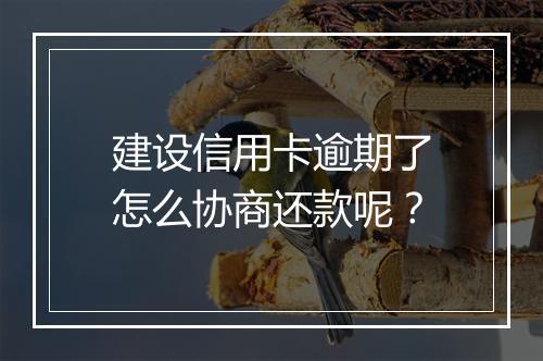 建设信用卡逾期了怎么协商还款呢？