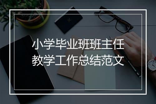 小学毕业班班主任教学工作总结范文