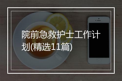 院前急救护士工作计划(精选11篇)